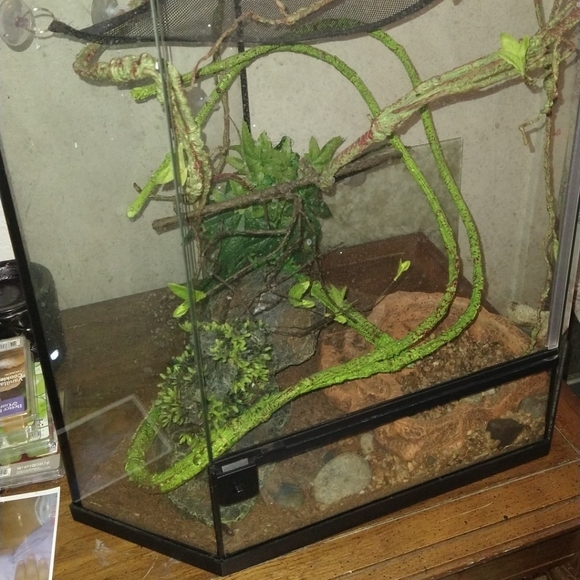 Reptile tank - Picture 2 of 2